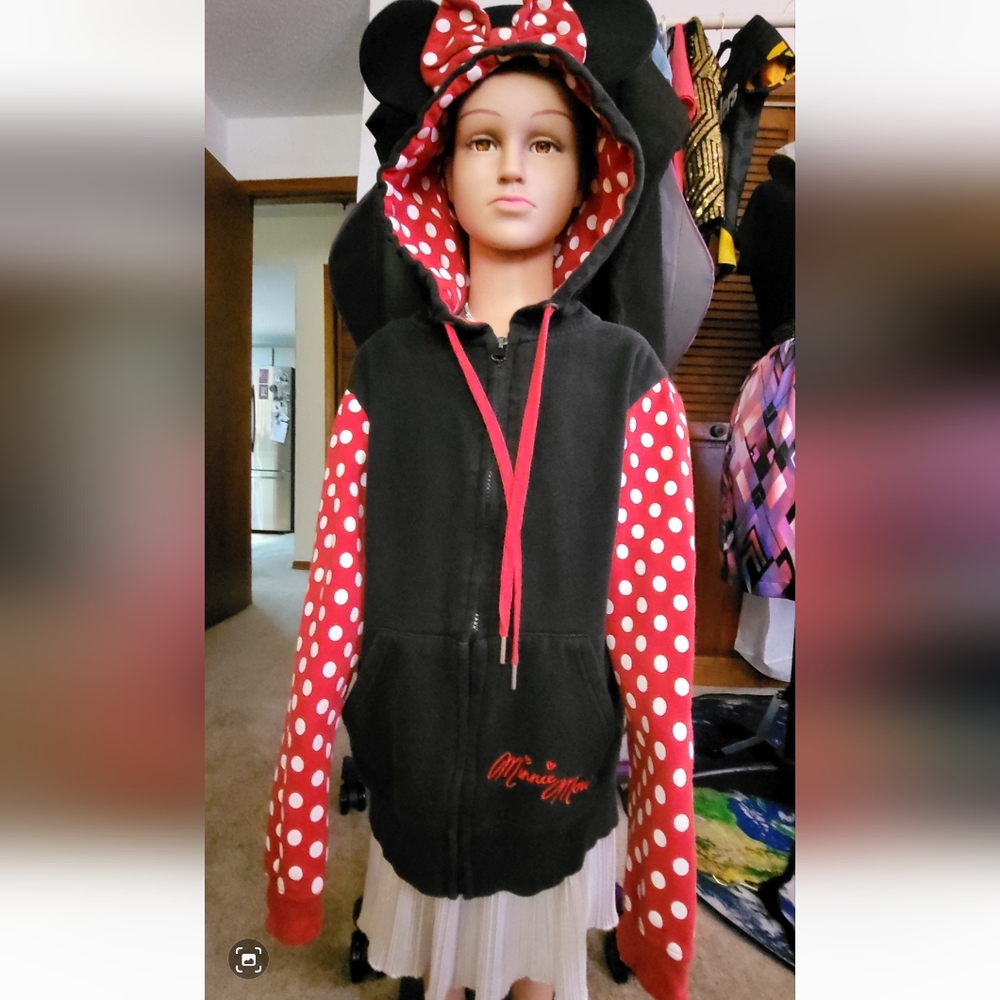 Disney Parks authentic original Mini Hoodie